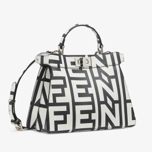 Fendi Small Peekaboo ISeeU Bag Fendi Roma Capsule Leather Black/White